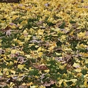 Meet your Posher, Teagan